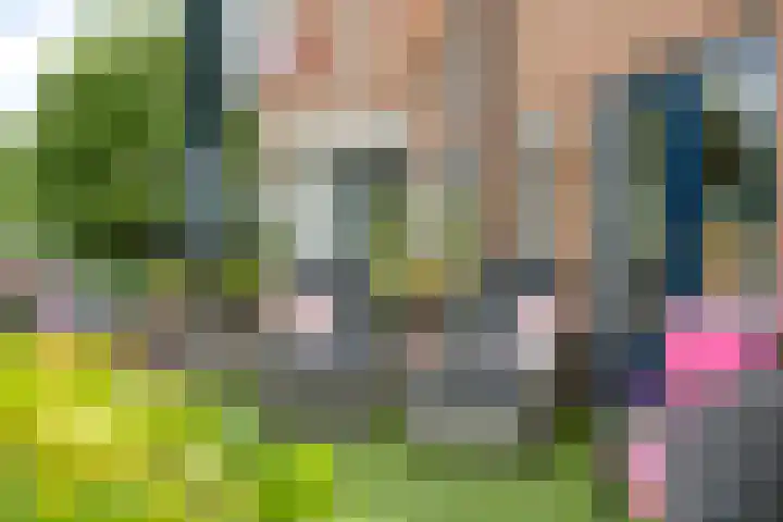 Bachlaan 20 Oud-Beijerland thumbnail 39