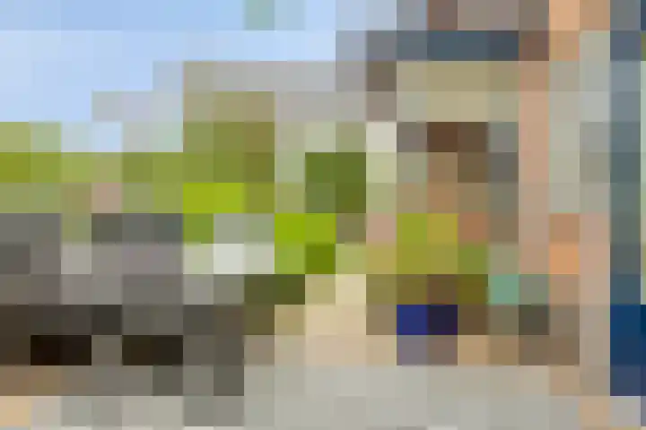 Bachlaan 20 Oud-Beijerland thumbnail 4
