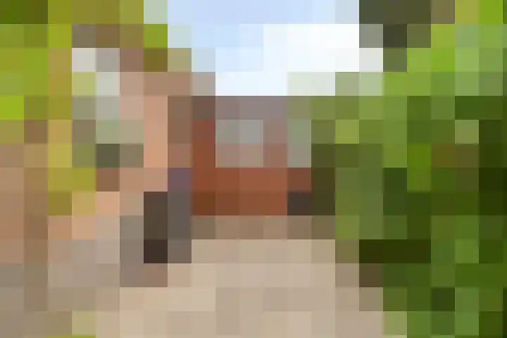 Bachlaan 20 Oud-Beijerland thumbnail 40