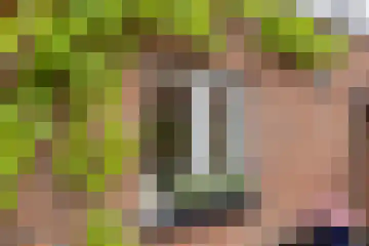 Bachlaan 20 Oud-Beijerland thumbnail 41