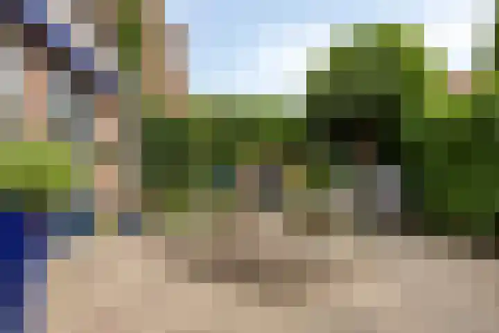 Bachlaan 20 Oud-Beijerland thumbnail 42