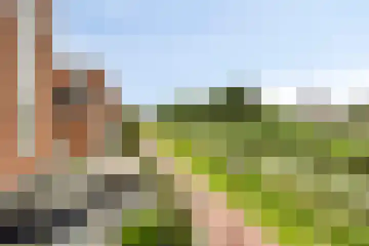 Bachlaan 20 Oud-Beijerland thumbnail 45