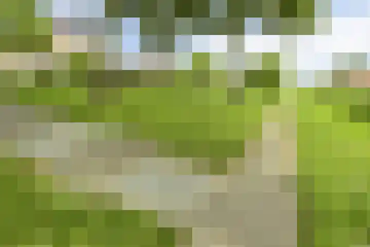 Bachlaan 20 Oud-Beijerland thumbnail 46