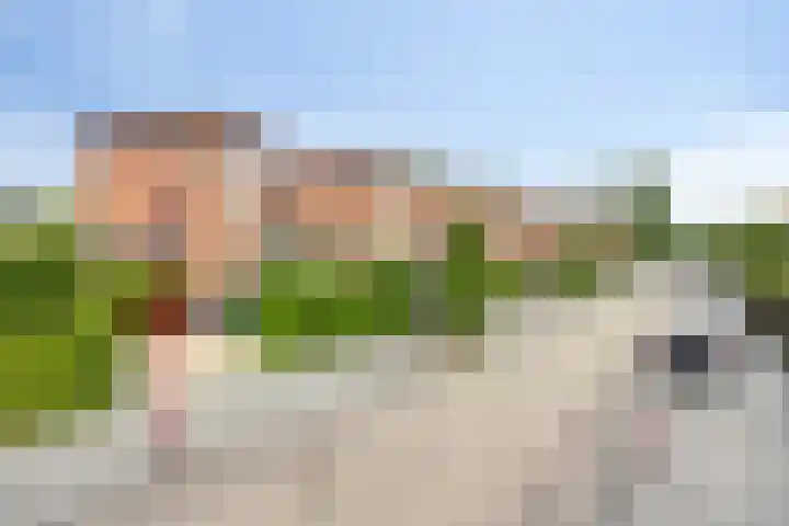 Bachlaan 20 Oud-Beijerland thumbnail 47