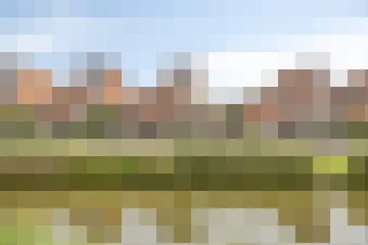 Bachlaan 20 Oud-Beijerland thumbnail 55