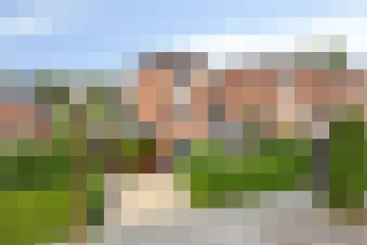 Bachlaan 20 Oud-Beijerland thumbnail 6