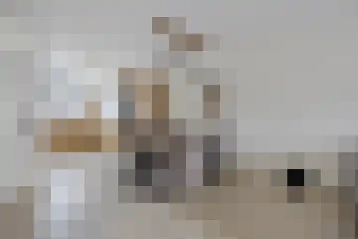 Bachlaan 20 Veenendaal thumbnail 10