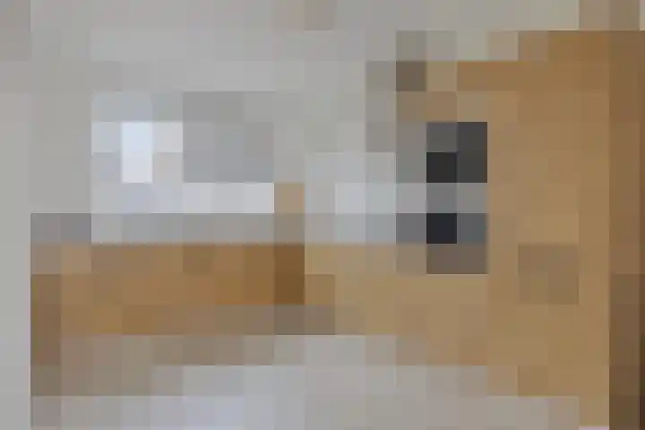 Bachlaan 20 Veenendaal thumbnail 11