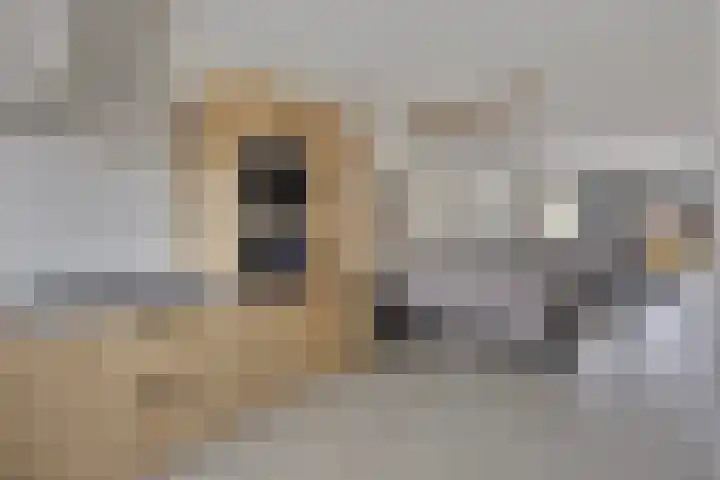 Bachlaan 20 Veenendaal thumbnail 12