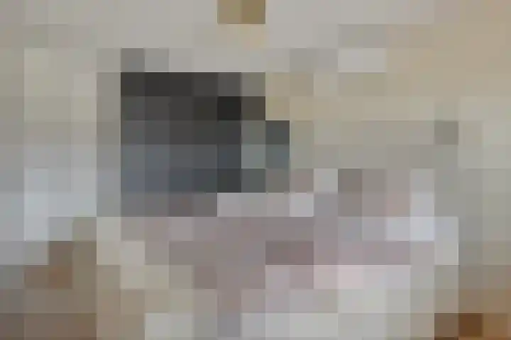 Bachlaan 20 Veenendaal thumbnail 14