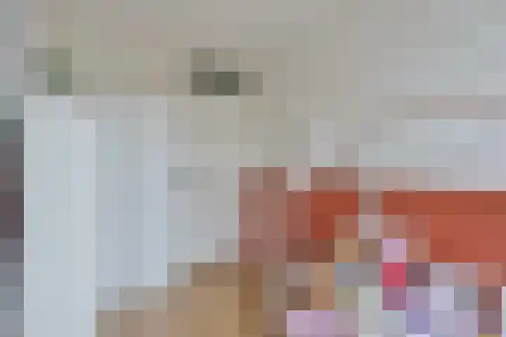 Bachlaan 20 Veenendaal thumbnail 18