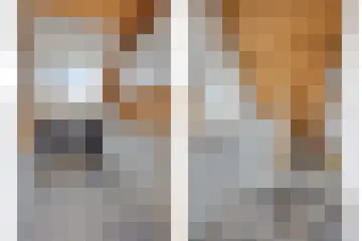 Bachlaan 20 Veenendaal thumbnail 21