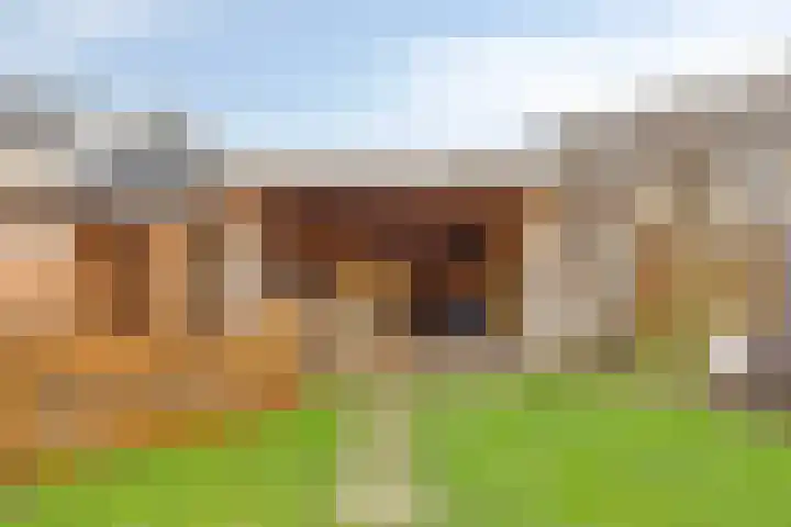 Bachlaan 20 Veenendaal thumbnail 24
