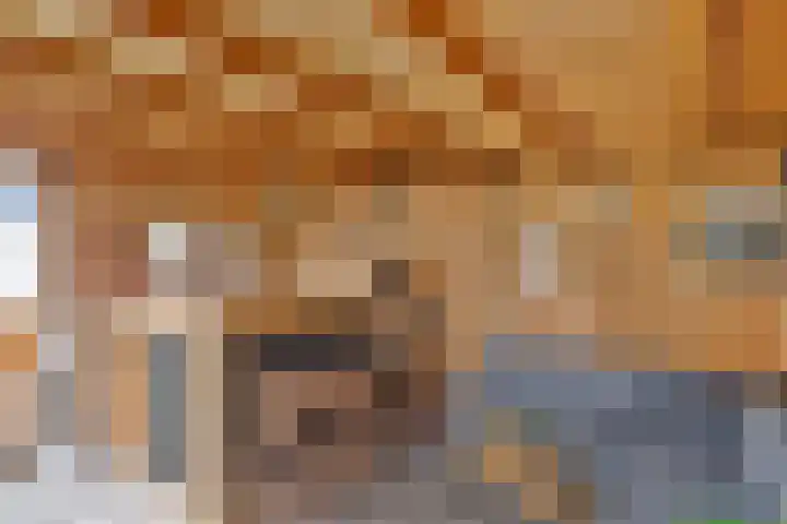 Bachlaan 20 Veenendaal thumbnail 26