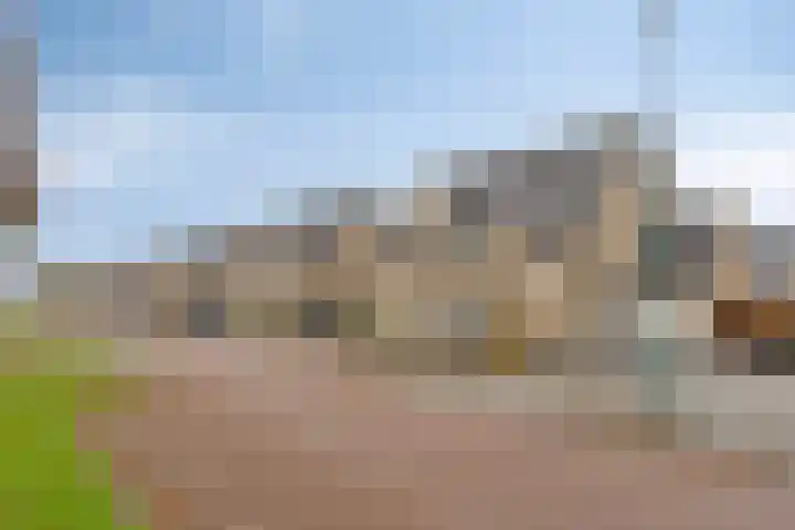 Bachlaan 20 Veenendaal thumbnail 27