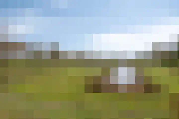 Bachlaan 20 Veenendaal thumbnail 28