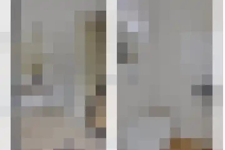 Bachlaan 20 Veenendaal thumbnail 7