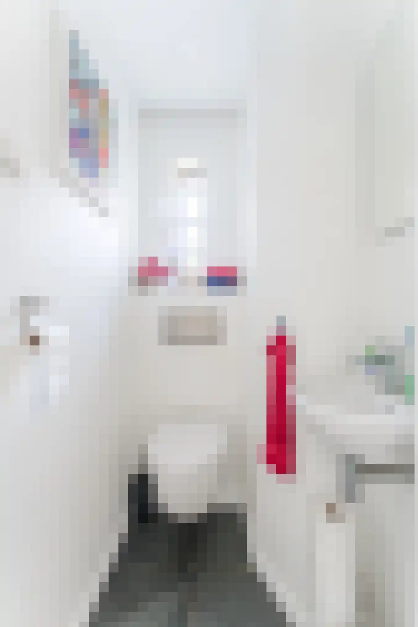 Bachlaan 21 Huizen thumbnail 12