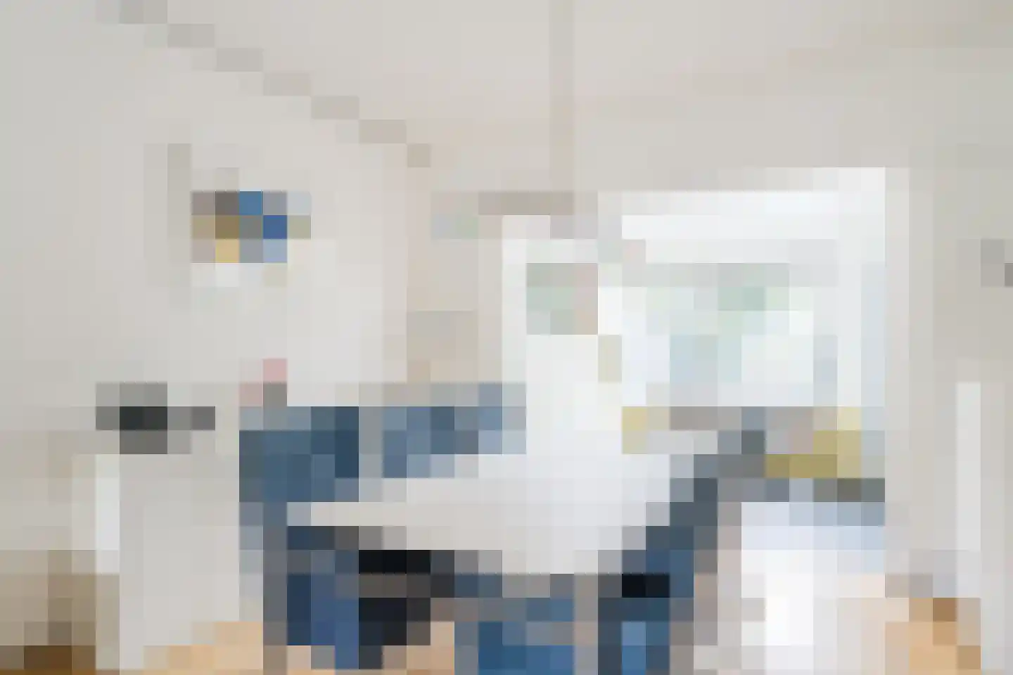 Bachlaan 21 Huizen thumbnail 17