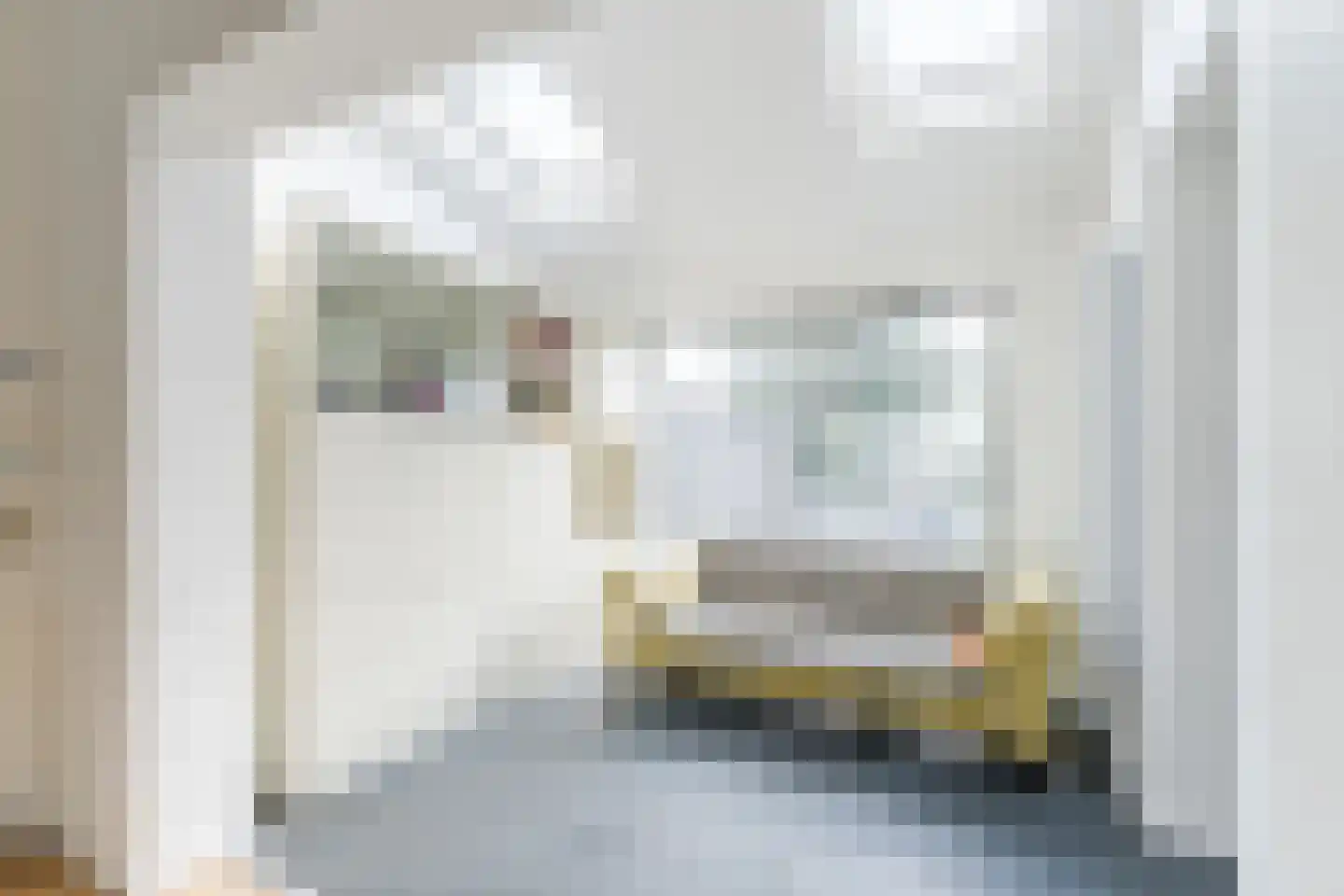 Bachlaan 21 Huizen thumbnail 18