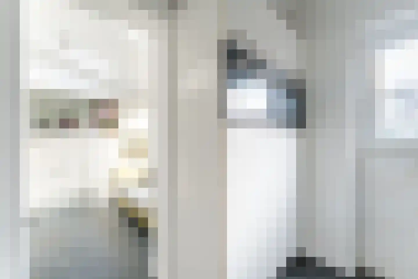 Bachlaan 21 Huizen thumbnail 23