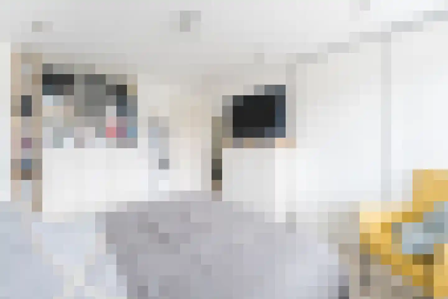 Bachlaan 21 Huizen thumbnail 24