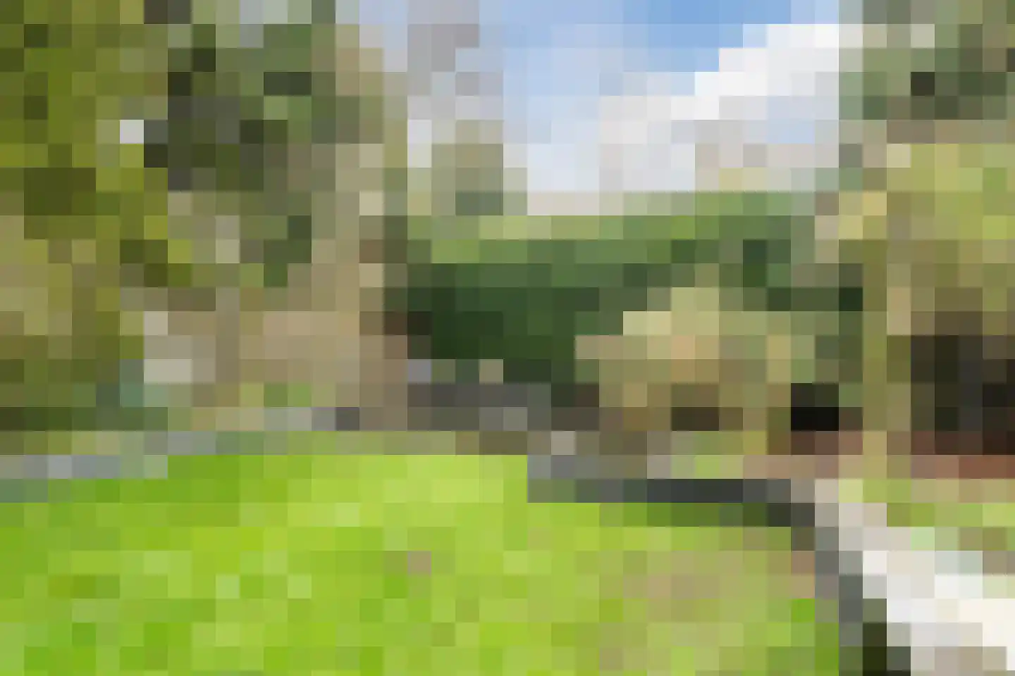 Bachlaan 21 Huizen thumbnail 40