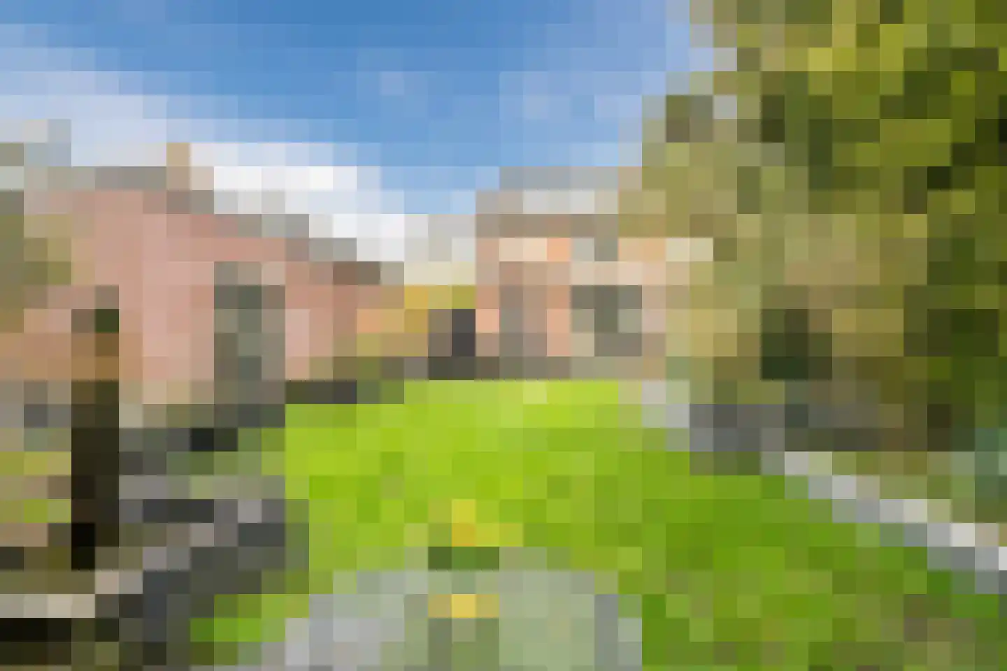 Bachlaan 21 Huizen thumbnail 41