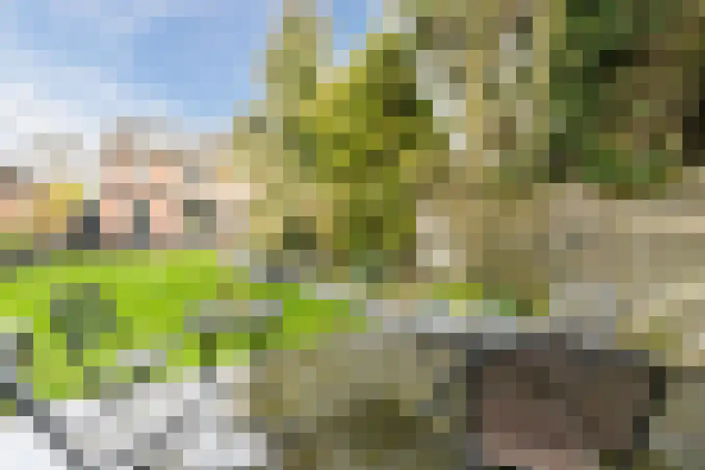 Bachlaan 21 Huizen thumbnail 42