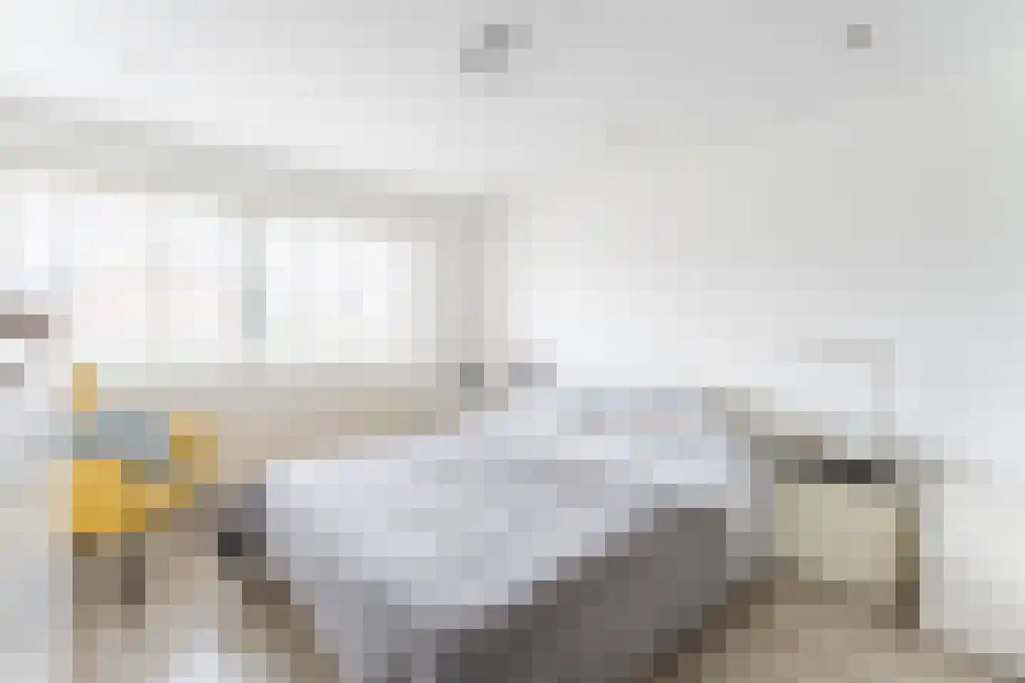 Bachlaan 21 Huizen thumbnail 5