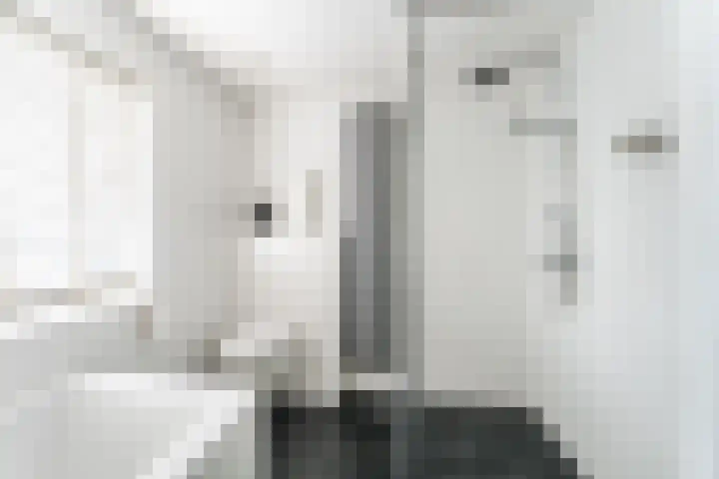 Bachlaan 21 Huizen thumbnail 6