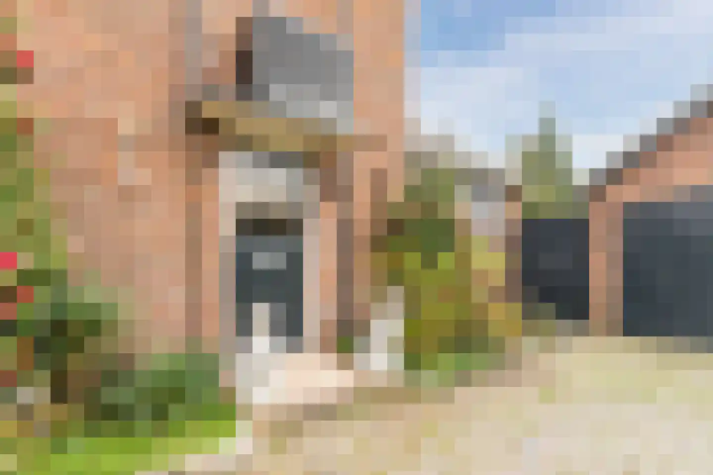 Bachlaan 21 Huizen thumbnail 9