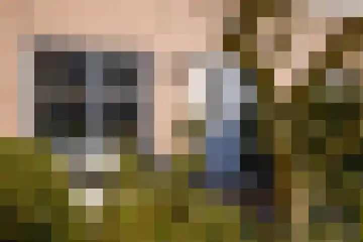 Bachlaan 21 Nieuw-Vennep thumbnail 11