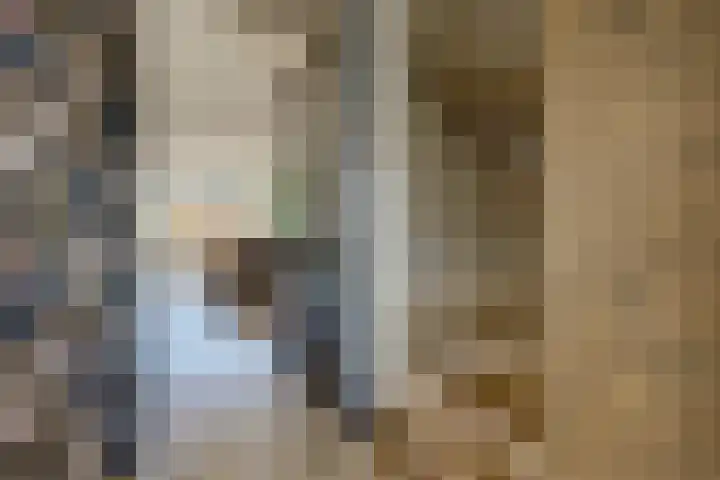 Bachlaan 21 Nieuw-Vennep thumbnail 16