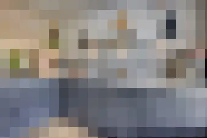 Bachlaan 21 Nieuw-Vennep thumbnail 25