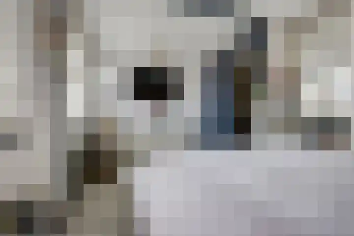 Bachlaan 21 Nieuw-Vennep thumbnail 30