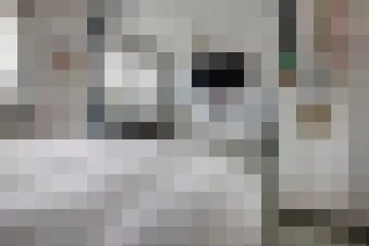 Bachlaan 21 Nieuw-Vennep thumbnail 32