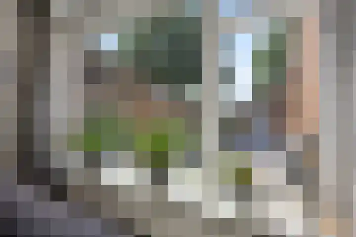 Bachlaan 21 Voorthuizen thumbnail 10