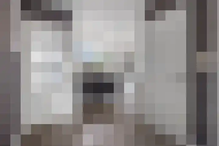 Bachlaan 21 Voorthuizen thumbnail 12