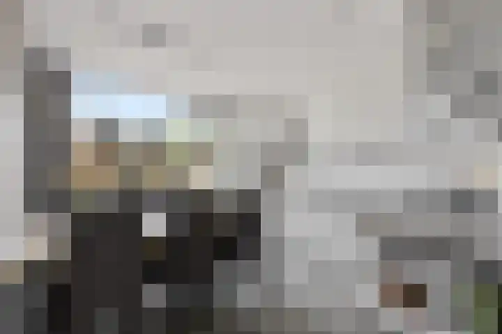 Bachlaan 21 Voorthuizen thumbnail 13