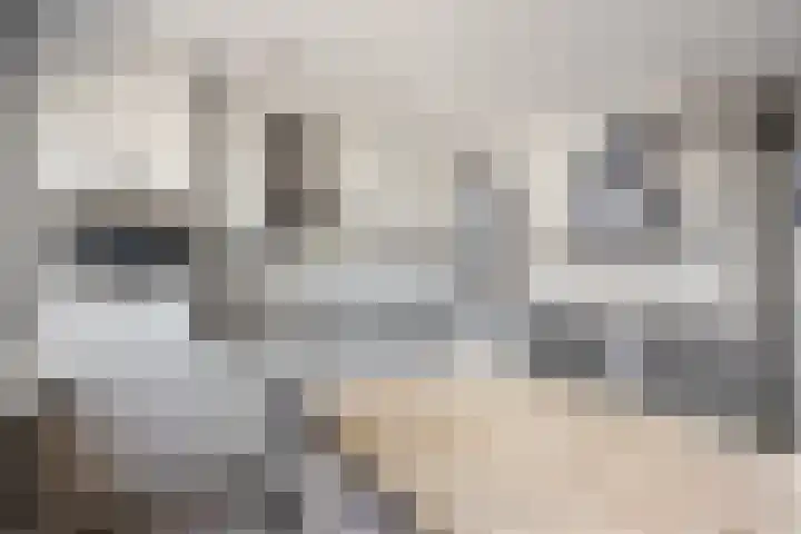 Bachlaan 21 Voorthuizen thumbnail 16