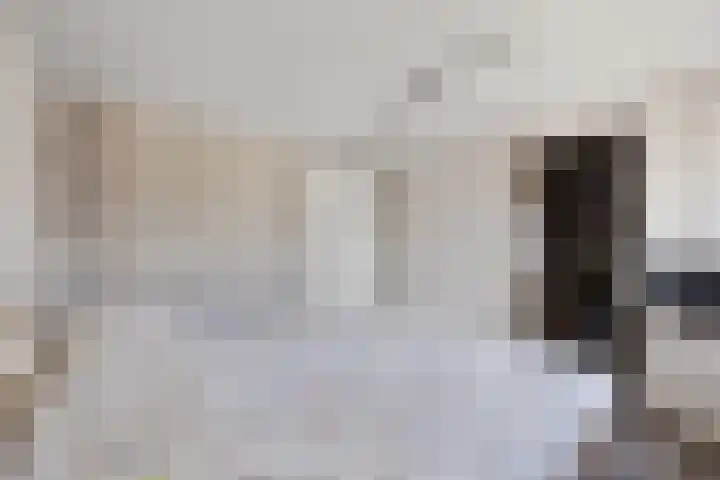 Bachlaan 21 Voorthuizen thumbnail 19