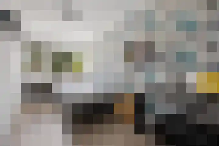 Bachlaan 21 Voorthuizen thumbnail 20