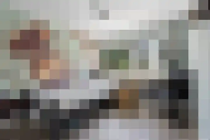Bachlaan 21 Voorthuizen thumbnail 21