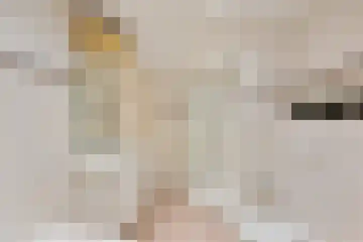 Bachlaan 21 Voorthuizen thumbnail 24