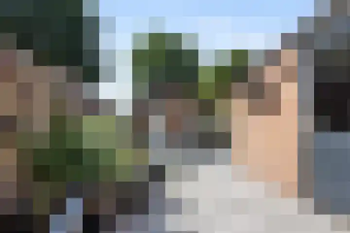 Bachlaan 21 Voorthuizen thumbnail 29
