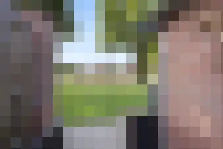 Bachlaan 21 Voorthuizen thumbnail 34