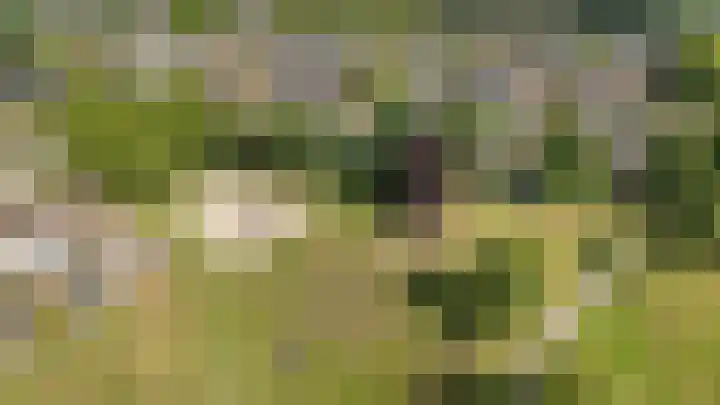 Bachlaan 21 Voorthuizen thumbnail 4