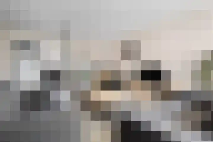 Bachlaan 21 Voorthuizen thumbnail 8