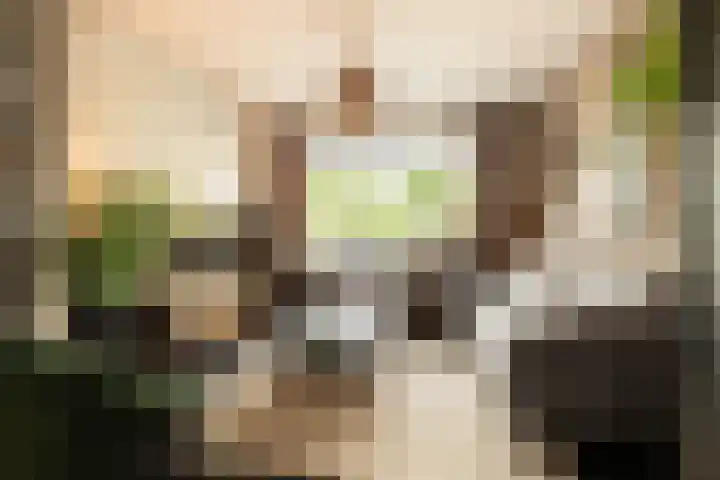 Bachlaan 22 Vlijmen thumbnail 10